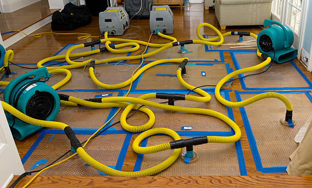 Professional Structural Drying And Dehumidification technician working in Olean, NY